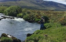 In Ireland, the fishing is almost as good as the pubs