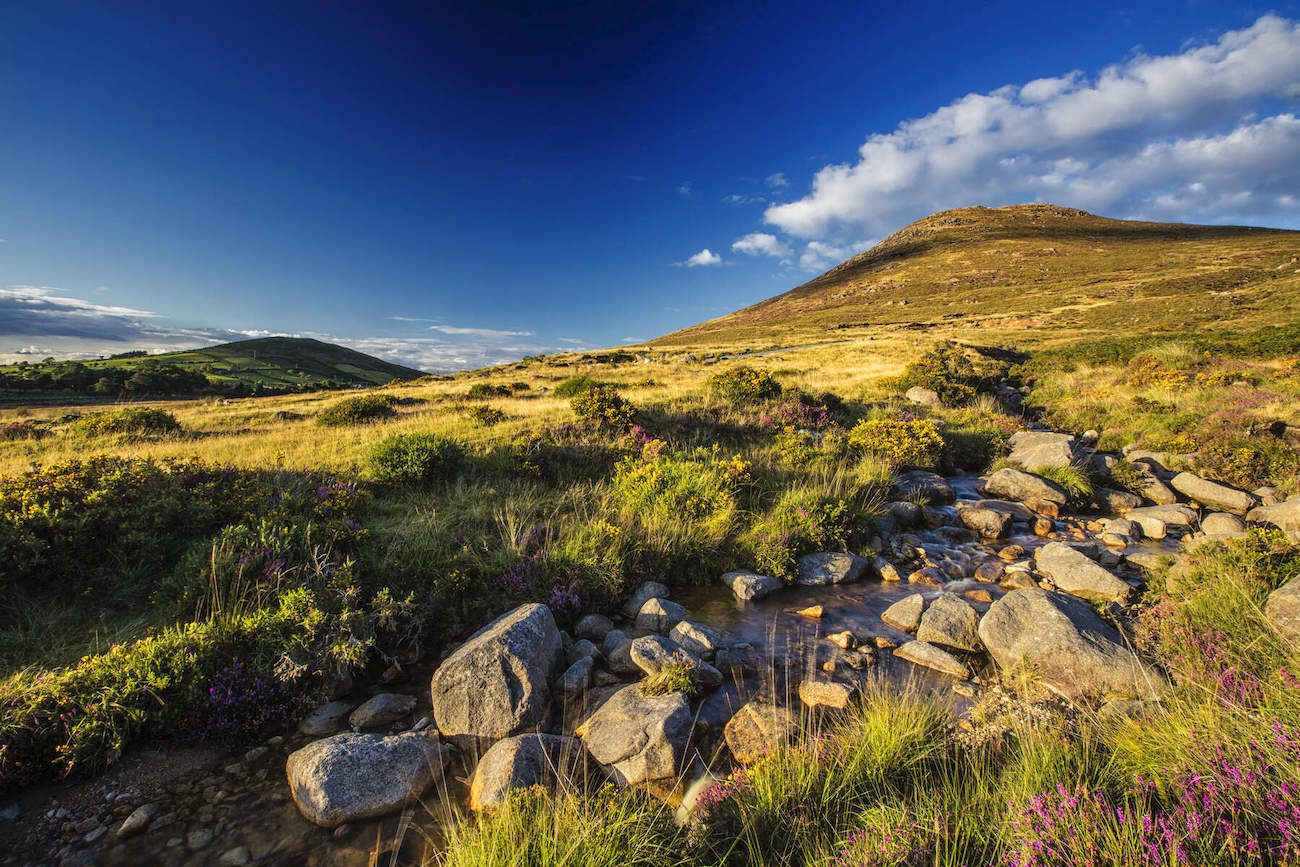 Cycling Bornacoola - the magic of an Irish bog 