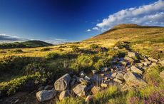 Cycling Bornacoola - the magic of an Irish bog 