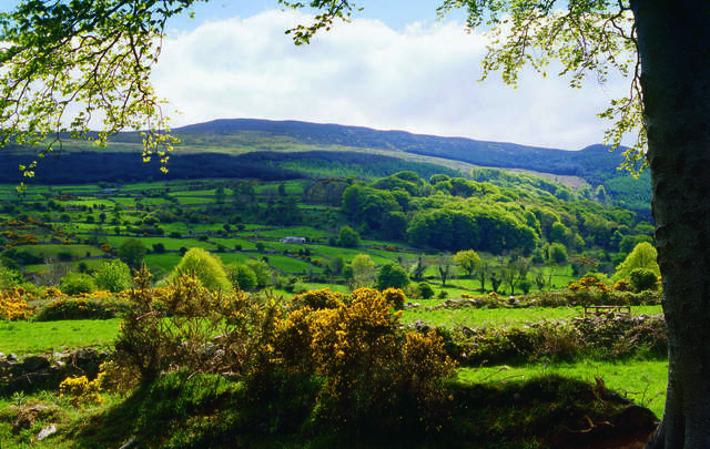 Slieve Gullion, County Antrim: Redmond O’Hanlon was born circa 1640, closeby, near Poyntzpass.