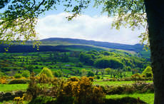 Rebel Redmond O’Hanlon - Ireland's greatest 17th-century outlaw