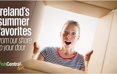 Not traveling to Ireland this summer? Bring the Emerald Isle to you!