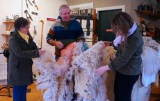 The Sheep and Wool Centre, Leenane, County Galway