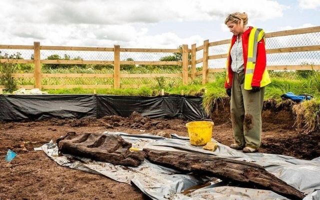 The wooden idol after it was discovered in Gornacrannagh.