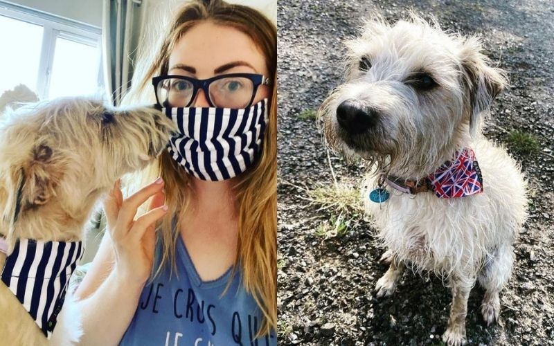 Woman forced to leave beloved dog in Ireland because of airport mix-up 