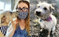 Woman forced to leave beloved dog in Ireland because of airport mix-up 