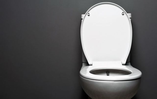 Irish entrepreneur John Nagle is planning to open his \"U-Luu\" luxury toilet service in Dublin.