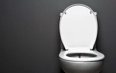 $4 for a bathroom visit! Luxury toilet set to open in Dublin