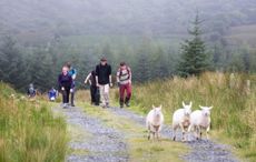 WATCH: County Leitrim's "best kept secrets" video aims to entice new visitors