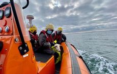 Seven-month-old lamb rescued off side of cliff in County Dublin 