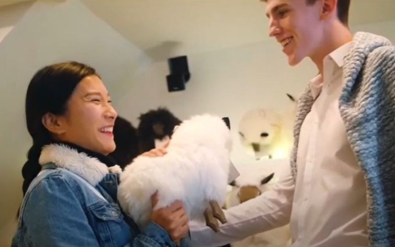 The Sheep, Medieval Latin Quarter, Galway City