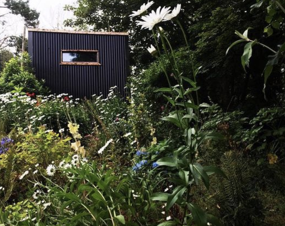 Cork musician built a tiny woodland home for $14.8k