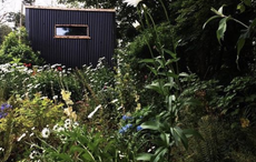 Cork musician built a tiny woodland home for $14.8k