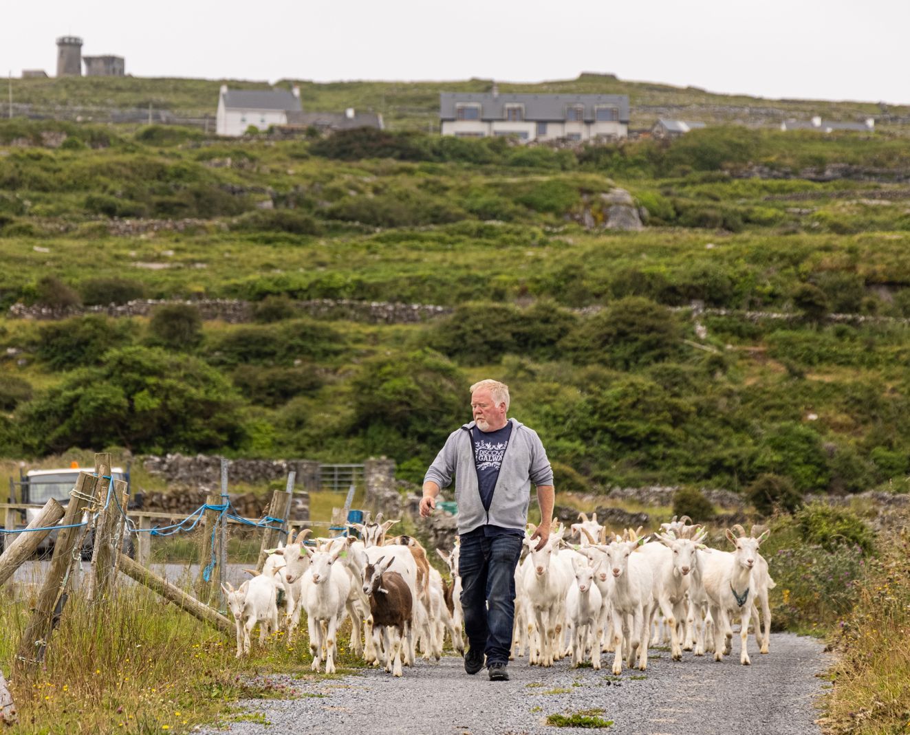 The original GOAT! Ireland's famous islands launch Aran Food Tour