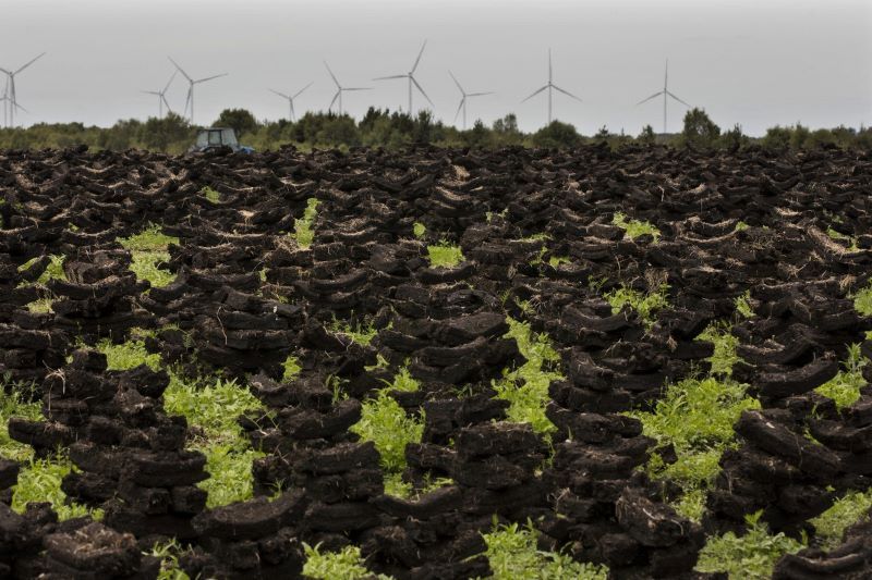 Turf now being imported to Ireland from Europe