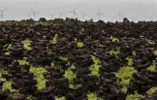 Turf now being imported to Ireland from Europe