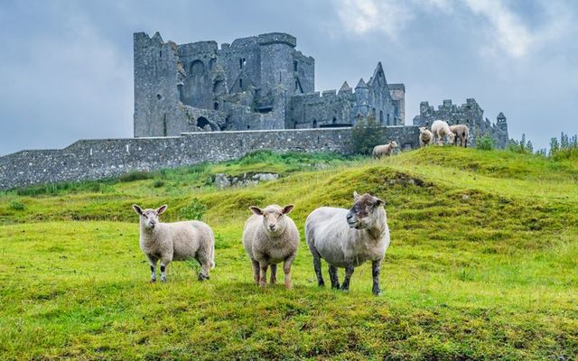 The Rock of Cashel in Co Tipperary.