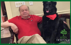 Irish Heritage Tree dedicated to New York community leader Danny Moloney