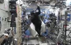 WATCH: NASA astronaut Scott Kelly smuggled a gorilla costume on to the International Space Station