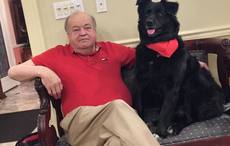 Family and friends bid farewell to New York Irish community stalwart Danny Moloney