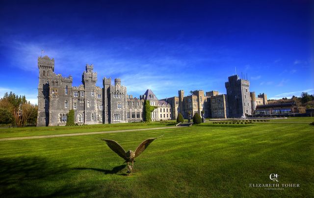 An eagle on the grounds of Ashford Castle, in Cong, County Mayo.