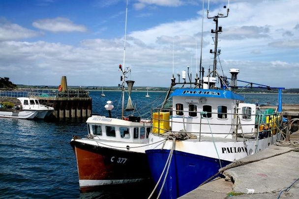 Fishing Boats tied up at Ballycotton Harbour, Ballycotton, Co Cork