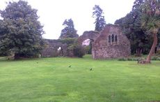 800-year-old monk remains discovered at Wicklow abbey