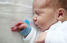 Ireland launches tracing service for adoption, birth, and medical records