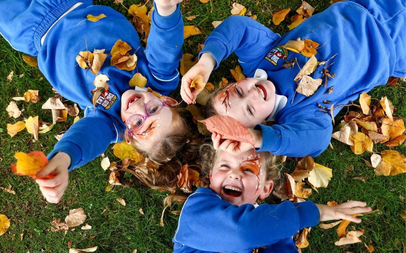 Today is National Tree Day in Ireland The Holly Tree