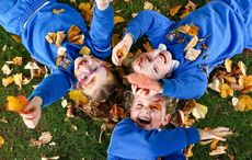 Today is National Tree Day in Ireland - spotlight on the Hazel Tree