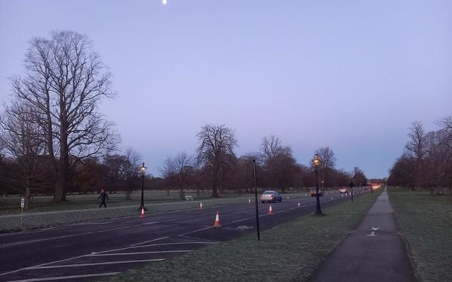 Gas lamps alight at daybreak in the Phoenix Park. 