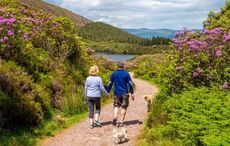 Make 2023 the year your Irish dreams come true with NACTA Travel