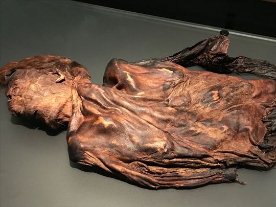 One of the bog bodies on display at the National Museum of Ireland in Dublin