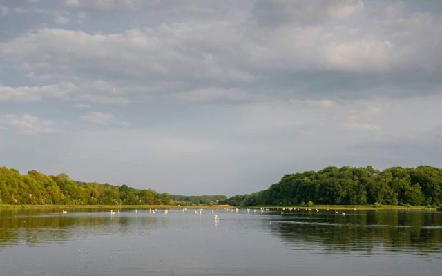 Lough Oughter in County Cavan. 