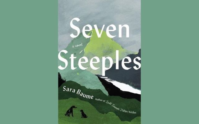 \"Seven Steeples\" by Sara Baume is the November 2022 selection for the IrishCentral Book Club.