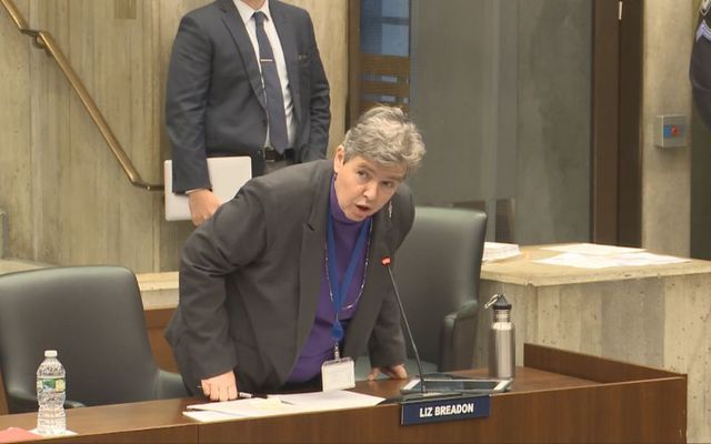 Liz Breadon responds to Frank Baker during a Boston City Council meeting on November 2. 