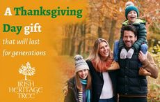 Plant a tree in Ireland for Thanksgiving and give thanks to your heritage