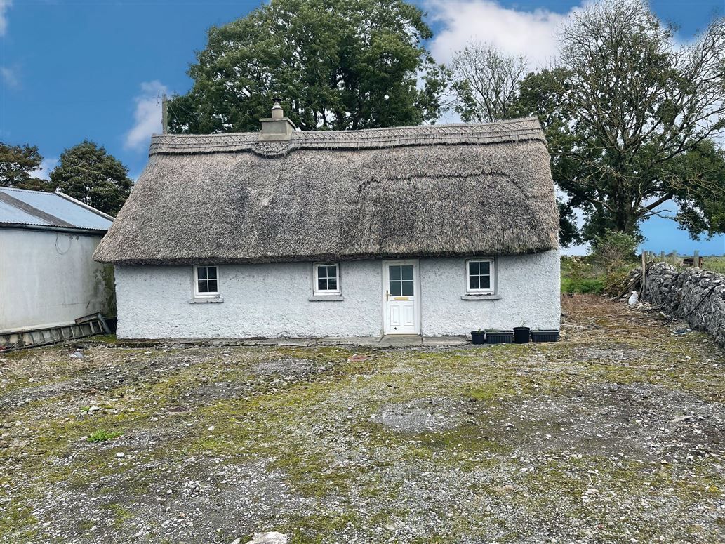 This traditional Irish thatched cottage is on the market for just $79k
