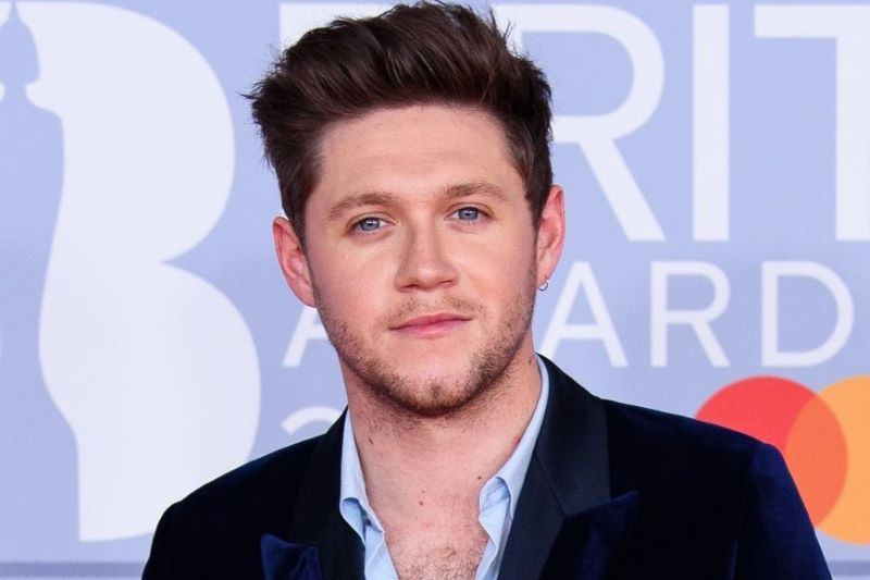 Niall Horan bags new Irish digs in home county of Westmeath
