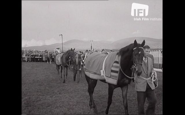 \"Dundalk Races 1960\" is now streaming via the Irish Film Institute.