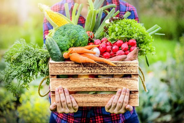 More adults in Ireland eat fruits and vegetables per day than adults in other EU countries, says report.