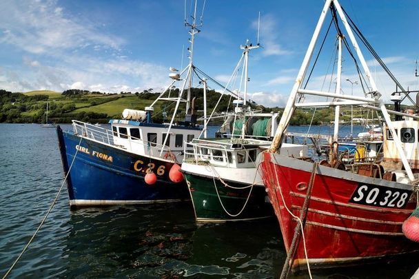 Fishing boats tied up at Glandore Harbour, Co Cork 