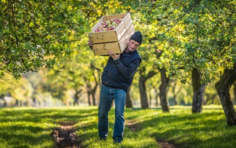 On St. Patrick's Day make Ireland's oldest traditional cider your drink of choice