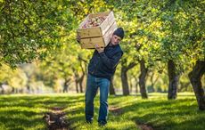 On St. Patrick's Day make Ireland's oldest traditional cider your drink of choice