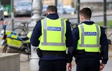 12-year-old driver killed during early-morning traffic collision in Limerick