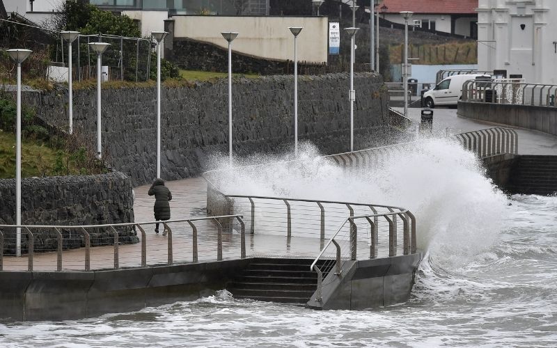 Man killed by fallen tree in Wexford during Storm Eunice
