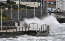 Man killed by fallen tree in Wexford during Storm Eunice