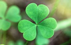 My memories of a Paddy's Day in Paris, and paying forward an Irish act of kindness