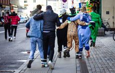 Denmark's unique 3-legged St. Patrick's Day tradition