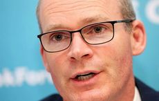 "Don't underestimate the Irish lobby in Washington," Coveney says in NYC